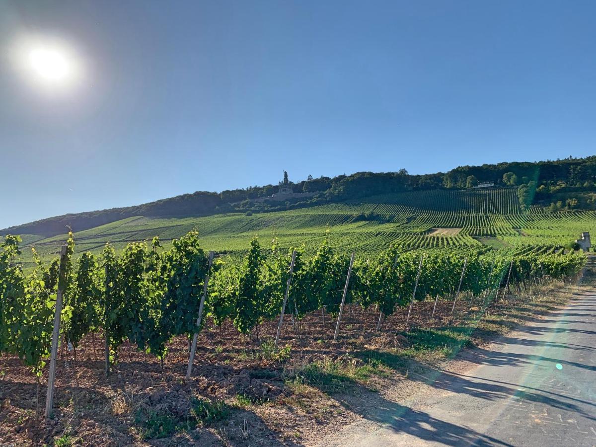Fewo Zum Malerwinkel - Ruedesheim Rüdesheim am Rhein Extérieur photo